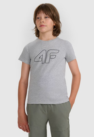 Koszulka Chłopięca 4F T-shirt Z Nadrukiem Szary 4FJWMM00TTSHM2331