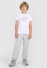 Koszulka Chłopięca 4F T-shirt Z Nadrukiem Biała 4FJWMM00TTSHM2331