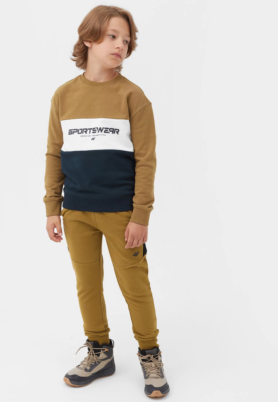 Bluza Chłopięca 4F z kapturem khaki JAW23TSWSM630-43S
