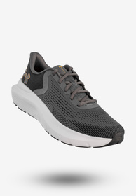 Sneakersy Męskie Under Armour Buty Sportowe Szare UA Charged Rogue 5
