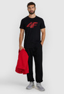 Koszulka Męska 4F T-shirt Z Nadrukiem Regular Czarny 4FWMM00TTSHM2257