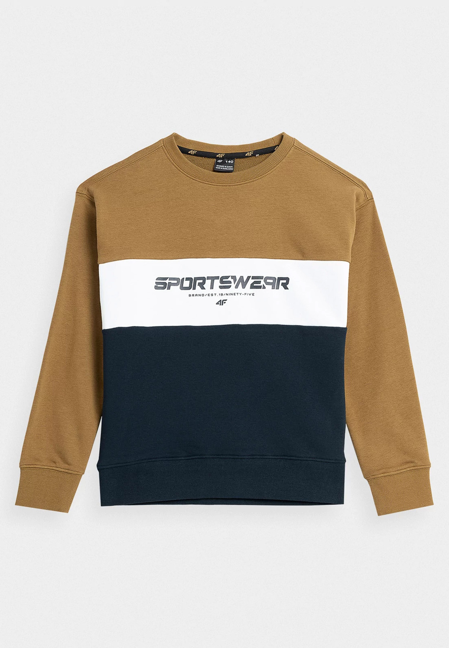 Bluza Chłopięca 4F z kapturem khaki JAW23TSWSM630-43S