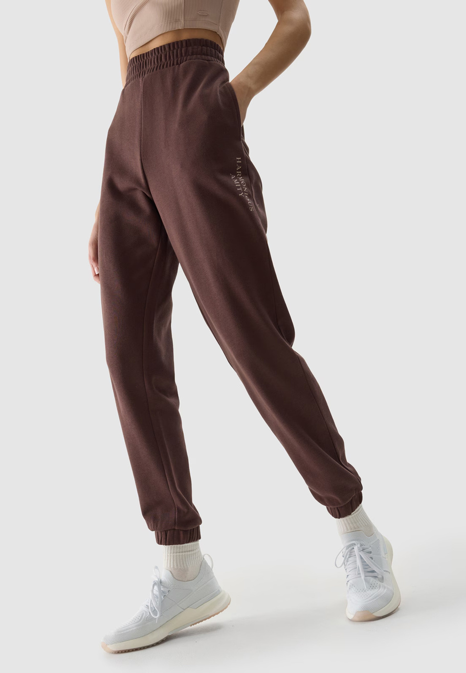 Spodnie Damskie 4F Joggery Dresowe Brązowe 4FWSS24TTROF665