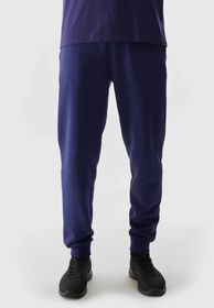 Spodnie Męskie 4F Joggery Sportowe Dresy Casual Granatowe 4FWSS24TTROM603