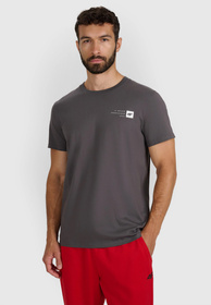 Koszulka Męska 4F T-shirt Z Nadrukiem Regular Szara 4FWAW25TTSHM3131