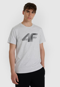 Koszulka Męska 4F T-shirt Z Nadrukiem Regular Szary 4FWMM00TTSHM2257